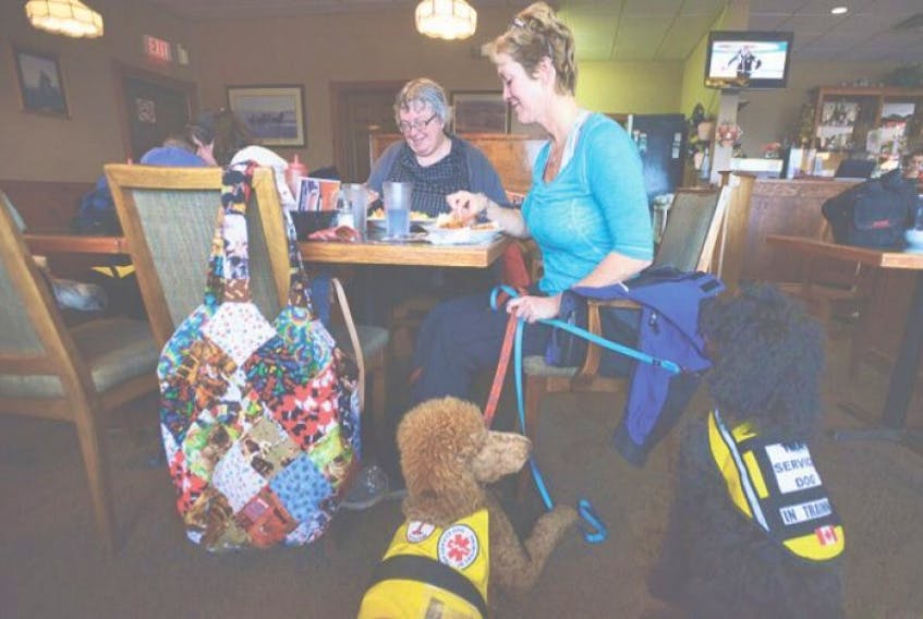 Service dogs Penny, left and Eli are good as gold as they wait for their handlers, Chantal Thibeault, left, of Charlottetown and Paula Sears of Moncton. They had their dogs in training at Sams Restaurant Sunday to get them accustomed to meeting new people various places.&nbsp;