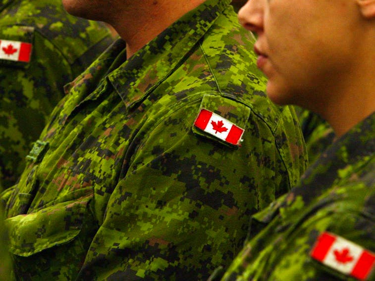 Canadian Forces officer pleads guilty to child porn charge, continues  working at military college for now | SaltWire