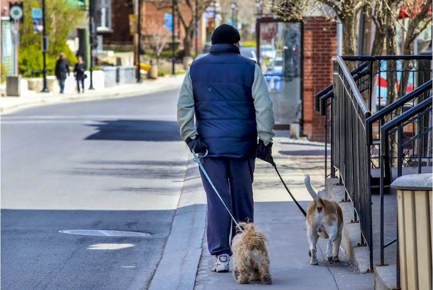 A man walks his dog on a narrow sidewalk on Ste-Anne St. in Ste-Anne-de-Bellevue May 12, 2020.