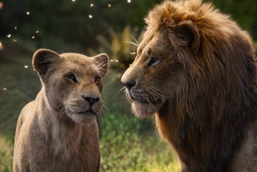 Beyoncé and Donald Glover in The Lion King (2019). Courtesy of Disney   Pictures