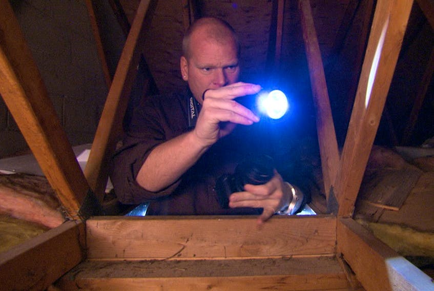 Mike Holmes: Don’t underestimate the damage termites can do to a home’s structure. 
