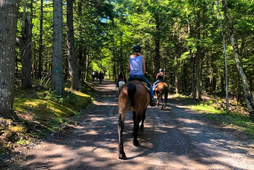 Shelby Ranch in Scotsburn is hosting a number of events including trail rides while following provincial protocol.