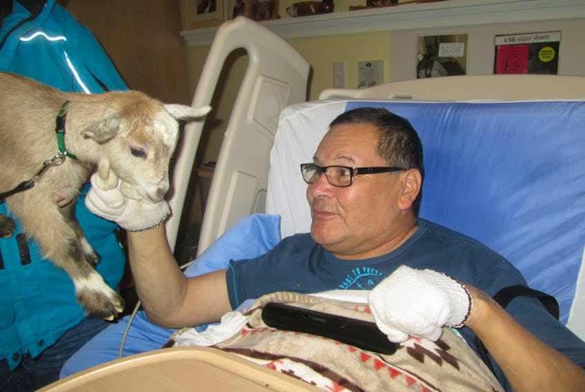 Stewart Lewis, a resident at the Stewart Memorial Home in Tyne Valley, gave Gerber, a Nigerian Dwarf goat, a little stroke under the chin.  Devon Saila of St. Chrysostome accompanies Gerber and some of her other goats to Stewart Memorial as well as Summerset and Wedgewood Manors in Summerside.