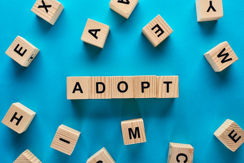 Do you think rules around adoption information should be changed in Nova Scotia?