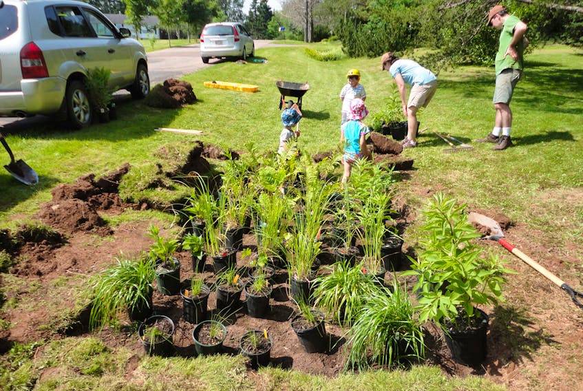 EOS members and volunteers plant a rain garden in the Tantramar region. EOS ECO-ENERGY PHOTO
