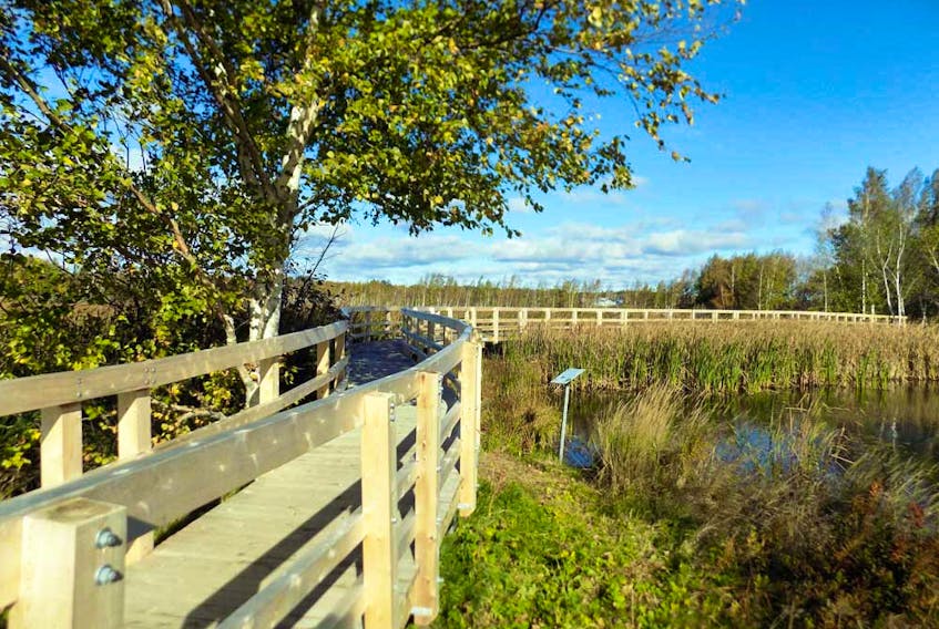 The Sackville Waterfowl Park, featuring 3.5 kilometres of trails and boardwalks, has drawn in hundreds of thousands of visitors to Sackville since it first opened.