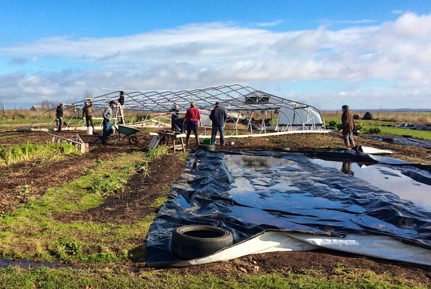 Volunteers gathered recently at Open Sky Co-operative to clean up the debris and rescue any remaining crops from the greenhouse that was destroyed in last weekend’s wind storm.