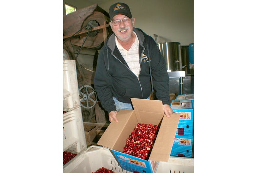 It's almost a month later than normal, but Mel Goodland is happy to finally bring this year's cranberry harvest to a close. The Dorchester producer said Maritime cranberry growers have had a tough time getting their berries out of the field this year, due to extreme wet and cold conditions this fall.