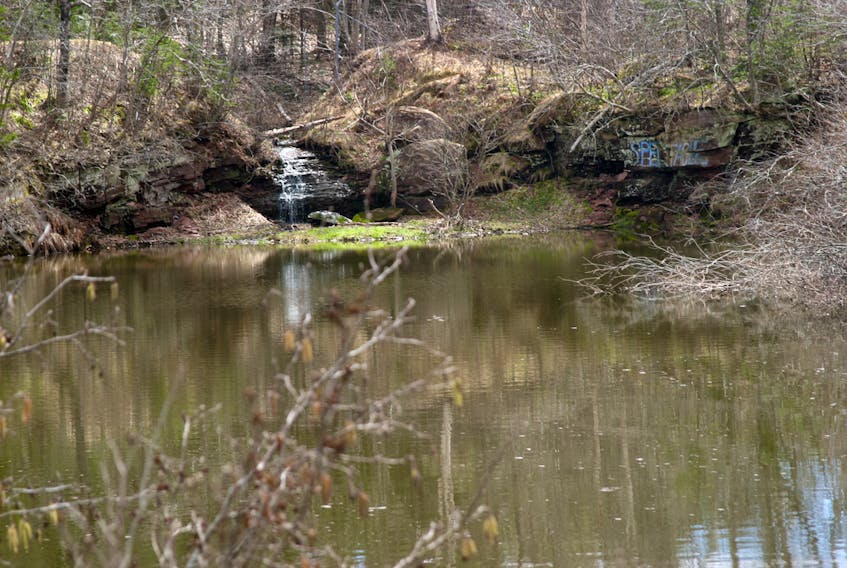 Sackville’s historic Pickard Quarry could be converted into a community park in 2018.