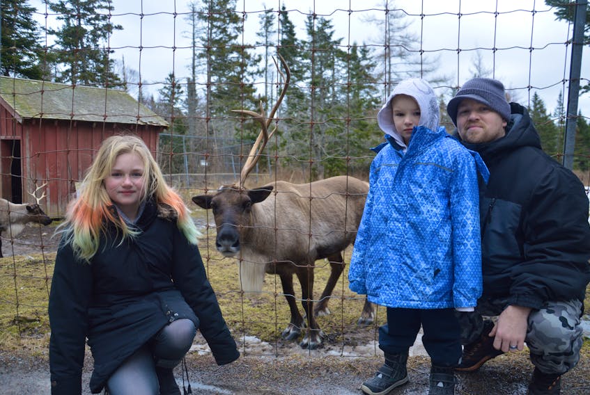 The MacDonald family is pictured with a caribou at Two Rivers Wildlife Park in Huntington on Saturday. The family usually visits the park at least two times a year to see the animals. From left, Haley MacDonald, Justin MacDonald and Shaun MacDonald.