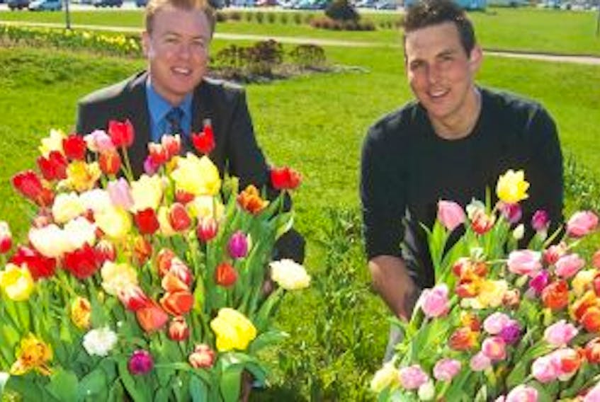 ['Stratford Mayor David Dunphy, left, and tulip grower Bas Arendse of Vanco Farms share a sneak peek of what is to come in this year’s Points East Tulip Fest for which seven municipalities and more than a dozen businesses have planted more than 100,000 tulip bulbs from Stratford to Souris and beyond. ']