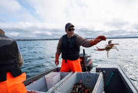 Indigenous lobster fisherman Jason Lamrock throws an undersized lobster back into the water off Meteghan River, N.S., Tuesday, Oct. 20, 2020.