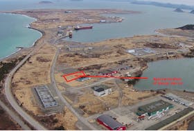 Dan Meade, owner of Dandy Dan's Seafood, plans to build a snow crab processing plant at this location in the Port of Argentia industrial park.