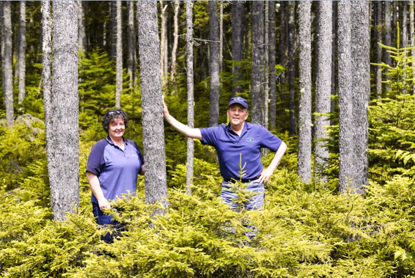Peter and Pat Spicer, Seven Gulches Forest Products, Spencer’s Island.
PHOTO CREDIT: File photo