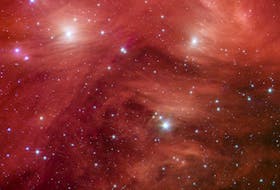 The Seven Sisters, also known as the Pleiades star cluster, seem to float on a bed of feathers in a 2007infrared image from NASA Spitzer Space Telescope. Clouds of dust sweep around the stars, swaddling them in a cushiony veil. - NASA