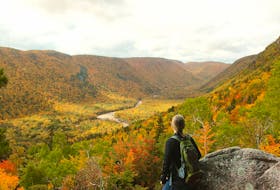 Parks Canada is looking for feedback on its 10-15 year draft management plan for Cape Breton Highlands National Park. 