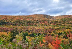 The splendor of Nova Scotia's fall colours. Kathy Gould photo.