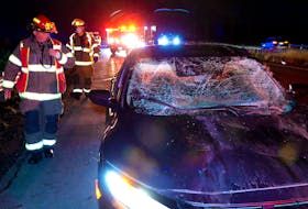Four people escaped serious injuries following a moose-vehicle collision Saturday night.