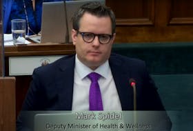 Department of Health deputy minister Mark Spidel takes part in a recent standing committee meeting. Health Minister Ernie Hudson said Spidel recused himself of involvement with Medavie over negotiations related to the rollout of mobile mental health units. 