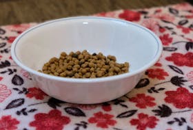 All cat food might all look the same to you, but tell that to your cat. CONTRIBUTED
