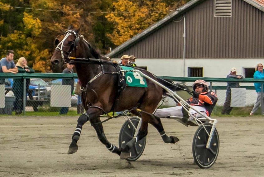 Intended Royalty and Redmond Doucet are shown all alone at the wire in winning his leg of the Governors Cup Series. Harness racing action resumes Saturday at Northside Downs in North Sydney at 1 p.m. CONTRIBUTED • TANYA ROMEO