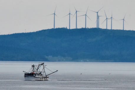 Proposed Sandy Point wind farm meeting up with questions and some opposition in southwest N.S.