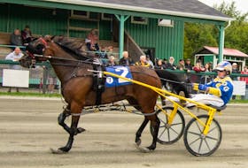 JJ Scarlett is shown during harness racing action at Northside Downs in North Sydney earlier this season. The Inverness-owned horse will start in the No. 8 spot during the Atlantic Breeders Crown final at Charlottetown Driving Park, Sunday. PHOTO CONTRIBUTED/TANYA ROMEO.