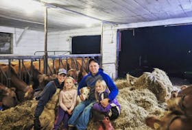 Matt and Megan Brosens and their family with the herd at Skye Glen Creamery in Cape Breton. The farm is a passion project for the Bronsens, who took a chance to follow their dream of becoming dairy farmers by relocating from Ontario to Cape BReton.