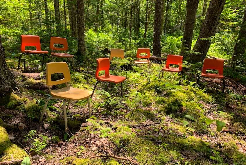 A mixed wood forest has become the outdoor classroom of the Pictou County Forest School in Meadowville.