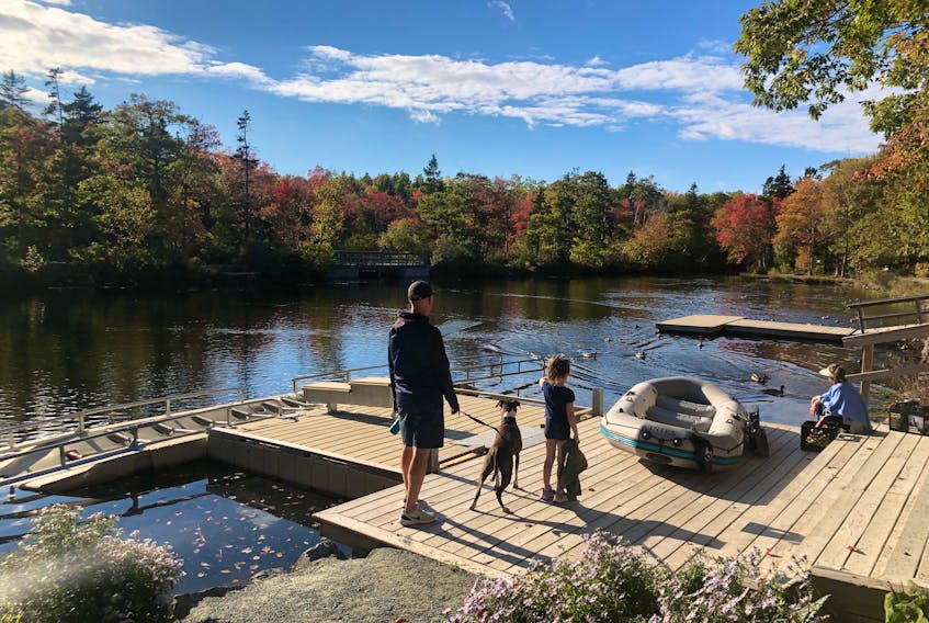 Fall is Shubie Park’s time to shine. Users are treated to a dazzling array of colours with walkers feeling as though they are moving through a painted masterpiece of lush red, orange, and yellow trees. 