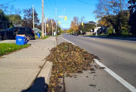 Leaves blocking a bike lane in Burlington, Ont.  Lorraine Sommerfeld/Postmedia News