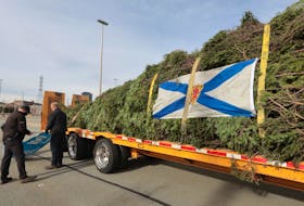 Banners are taken down and the transport truck is being made ready after a media event to ceremonially send off the Christmas tree to Boston. The tree will be out on an Eimskip shipping vessel to Portland. From there is will travel by truck to Boston.