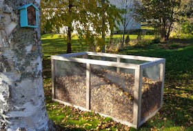 Charlottetown resident Amy Simon has built a simple leaf bin made entirely of metal fencing wire from a garden supply store.  