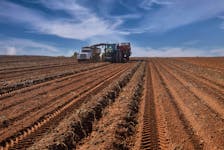 A potato harvester works the fields at Skye View Farms in this file photo.  The Canadian Food Inspection Agency has decided to suspend the certification of exports of all potatoes from Prince Edward Island to the United States. 
