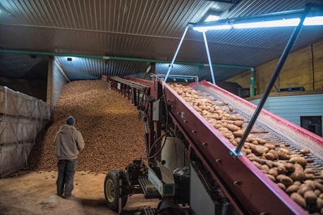 Border closure for P.E.I. potatoes impacts trade: 'We were really surprised'