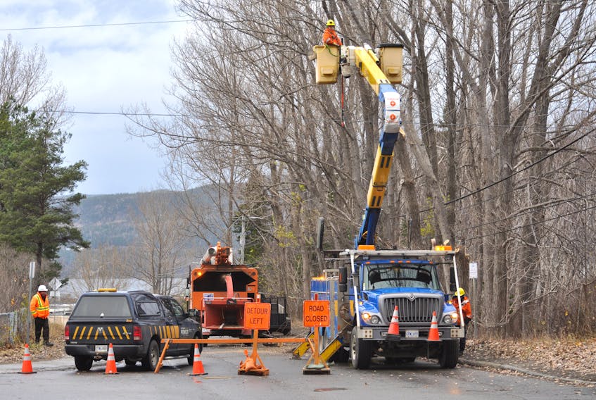 A section of Mount Bernard Ave. in Corner Brook was closed for a while on Tuesday afternoon as workers with Newfoundland Power cut down and removed the tree that had came in contact with a power line and causing the power to be lost in a  section of the city's downtown.  