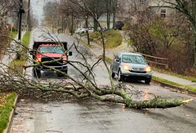 A vehicle makes its way around a fallen tree on St. Peters Road in Sydney on Tuesday morning. A CBRM public works crew monitors the situation in the low-lying area that is prone to flooding during heavy rainfall. DAVID JALA/BRETON POST