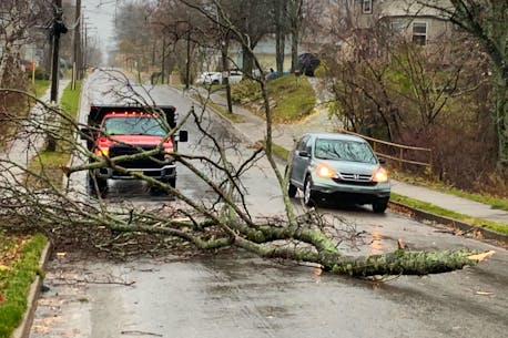 Wet and windy: Heavy rains and high winds pummel Cape Breton as storm crosses Atlantic Canada