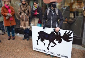 Protesters carrying signs and chanting rallied in front of the offices of the provincial natural resources and renewables department in downtown Halifax on Wednesday, Nov. 24, 2021, calling for the department to stop permitting forestry operations on Crown land where the endangered mainland moose habitate.