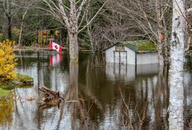 Frank and Denise Doucette's lawn and backyard, which was under flood waters from Tuesday's storm. JESSICA SMITH/CAPE BRETON POST