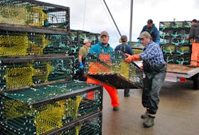 Woods Harbour fishermen offload traps at the Falls Point wharf in preparation for the upcoming commercial lobster fishery in Southwestern Nova Scotia. KATHY JOHNSON