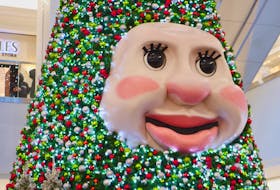 Woody the Talking Christmas Tree, 2.0, is on duty at Dartmouth's Mic Mac Mall.
Tim Krochak 
