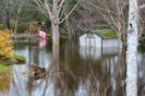 Frank and Denise Doucette (inset) lawn and backyard, which was under flood waters from Tuesday's storm. JESSICA SMITH/CAPE BRETON POST