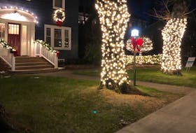 Steve Hofer, Christmas lights