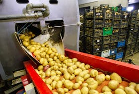 Letter writers are reacting to news the Canadian Food Inspection Agency has suspended trade of fresh potatoes from P.E.I. to the U.S.