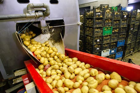 LETTERS: Readers react to P.E.I. potato news