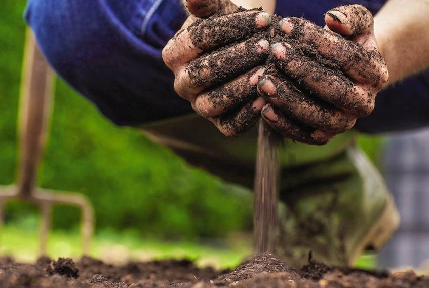 Adding amendments like used potting soil can soften up tough lawns.