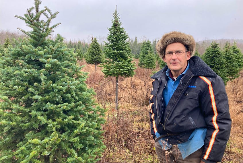 Laurie Levy stands among Christmas trees at his lot in White Rock, Kings County on Nov. 27, 2021. While the United States is facing a shortage of Christmas trees this year, there are no concerns in Nova Scotia.