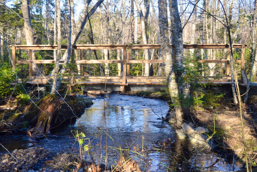The water that flooded parts of south end Sydney’s Baille Ard Trail have receded, but more wet weather is on the way with up to 60 mm of rain forecast for parts of the Cape Breton Regional Municipality and Victoria County. Above, one of the new bridges that spans a brook in the Baille Ard forest. DAVID JALA/CAPE BRETON POST