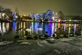Bowring Park will celebrate the holiday season with its 20th annual music and lights festival at the duck pond, running from Dec. 3 to Jan. 6.
